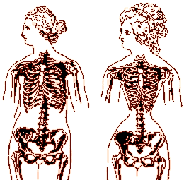 L'effetto del busto sul corpo di una donna
